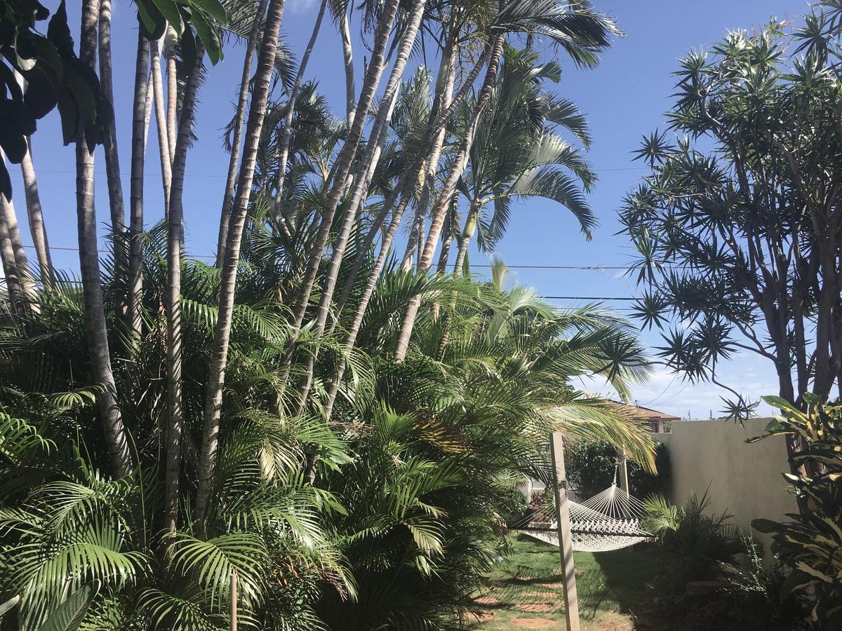 הוילה להיינה Maui Garden Oasis מראה חיצוני תמונה