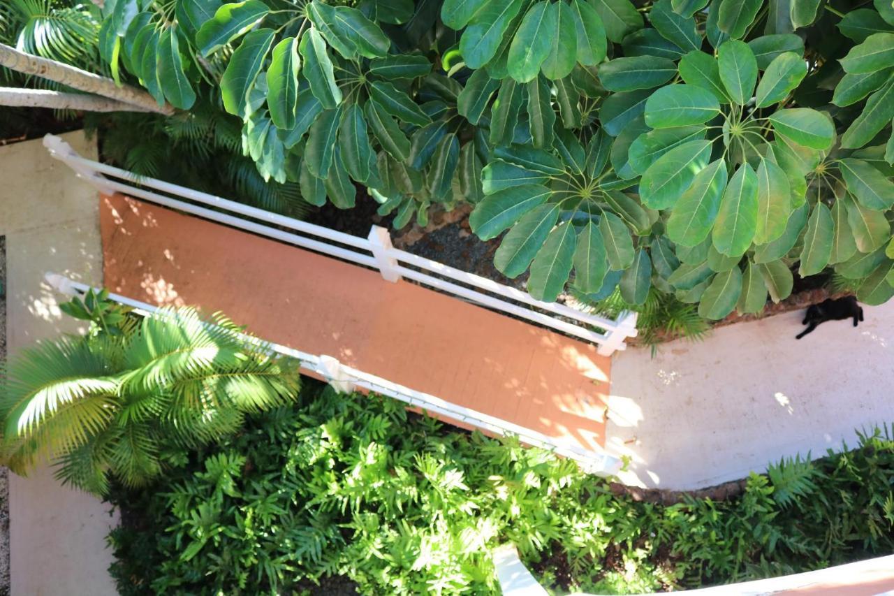 הוילה להיינה Maui Garden Oasis מראה חיצוני תמונה