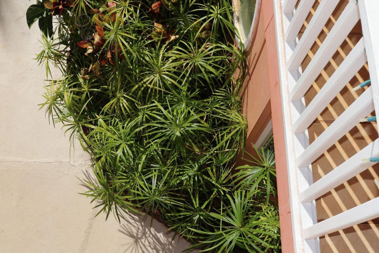 הוילה להיינה Maui Garden Oasis מראה חיצוני תמונה